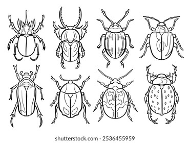 Black Doodle Tropical Bug Icon Collection Isolated on White Background. Vector Insect Illustration