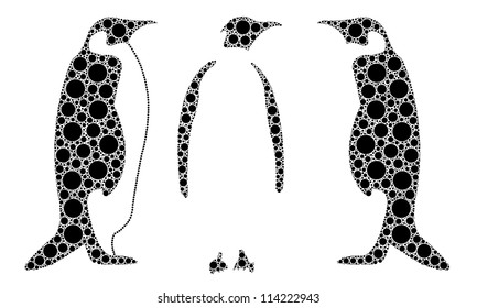 black dotted penguins isolated on white