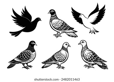 Black dove icon set vector 