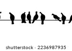 Black dove sitting on a wire on a white background. A group of pigeons. Vector silhouette