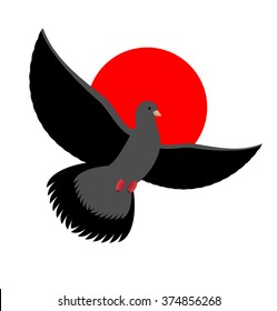 Black Dove Symbol Of Sadness And Mourning. Flying Black Bird On Red Sunset. Wingspan Is Pigeon


