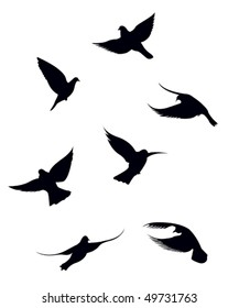 Black doves on a white background