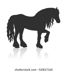Black draft horse with curly mane vector. Flat design. Domestic animal. Country inhabitants concept. For farming, animal husbandry, horse sport illustrating. Agricultural species. Isolated on white