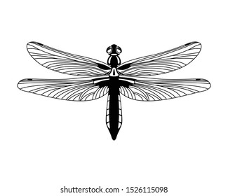 Black dragonfly icon isolated on white background, Design element for print templates, websites, web and mobile phone apps. Vector illustration.