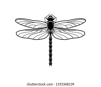 dragonfly black app