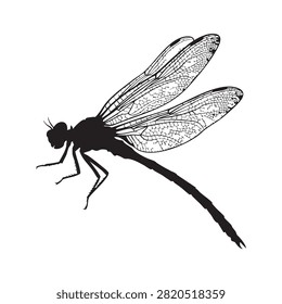 Black dragonfly silhouette illustration features detailed wings and a long abdomen against