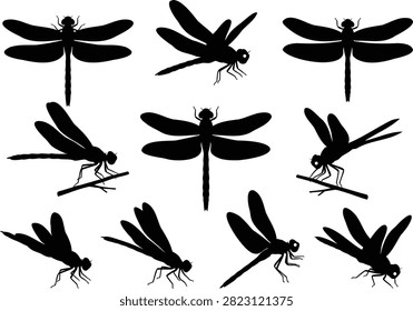 Black dragonfly silhouette set featuring flying and perched poses. Ideal for nature branding, entomology graphics, and outdoor-themed designs.