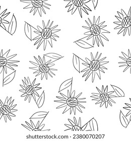 Black drawing line of seamless sunflower pattern, design for fabrics print or wallpaper, hand drawing vector, Isolated floral elements, daisy, aster, chrysanthemum. Line childish drawings