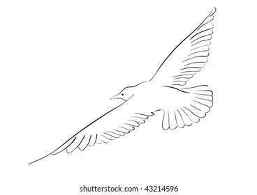 4,794 Black Tailed Gull Images, Stock Photos & Vectors | Shutterstock