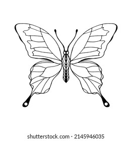 Black drawn magic butterfly outline on a white background