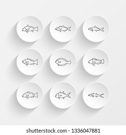 Black Drum, Bluefish, Cobia, Gag Grouper And Flounder Icons On Plate Illustration Set