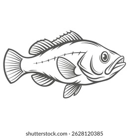 Black Drum Fish Outline Illustration