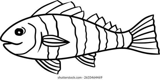 Black Drum Fish Vector Outline Illustration