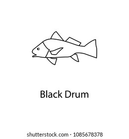 black drum icon. Element of marine life for mobile concept and web apps. Thin line black drum icon can be used for web and mobile. Premium icon on white background