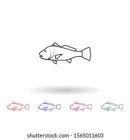 Black drum multi color icon. Simple thin line, outline vector of fish icons for ui and ux, website or mobile application