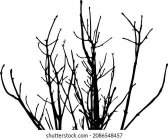 black and dry tree branches on a white background. vector art