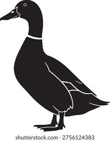 Black duck bird silhouette. Side profile view, standing pose. Waterfowl, domestic bird, farm animal theme. Isolated vector illustration.