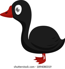 Black duck, illustration, vector on white background