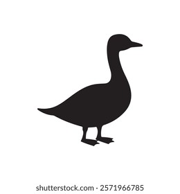 Black Duck silhouette vector illustration on white background.

