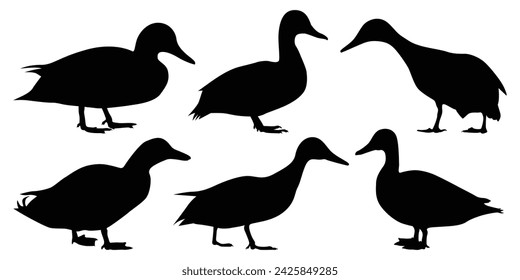  Black Duck Silhouettes vector illustration