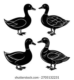 Patos negros frente a frente silueta blanca