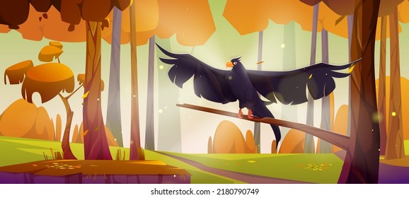 Black Eagle, Falcon Or Hawk Sit On Tree Branch Over Autumn Forest Landscape With Orange Trees, Bushes And Grass. Wild Bird On Beautiful Nature Background, Fairy Tale Scene, Cartoon Vector Illustration