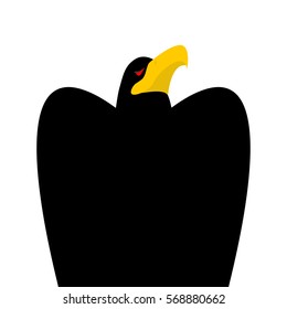 Black eagle head isolated. Bird an eagles face on white background