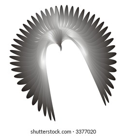 Black eagle long wings