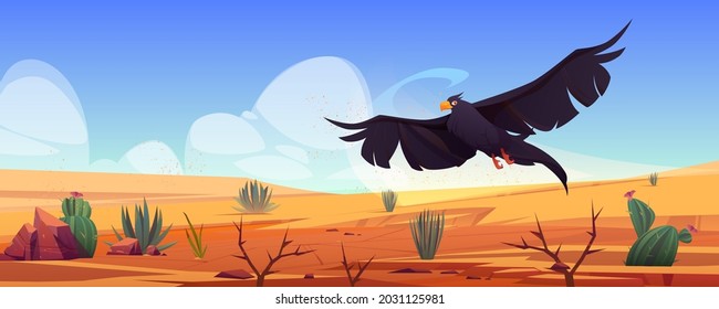 Black eagle over desert landscape, falcon or hawk flying with outspread wings on nature background with cracked ground, rocks and cacti. Wild bird predator searching prey, Cartoon vector illustration