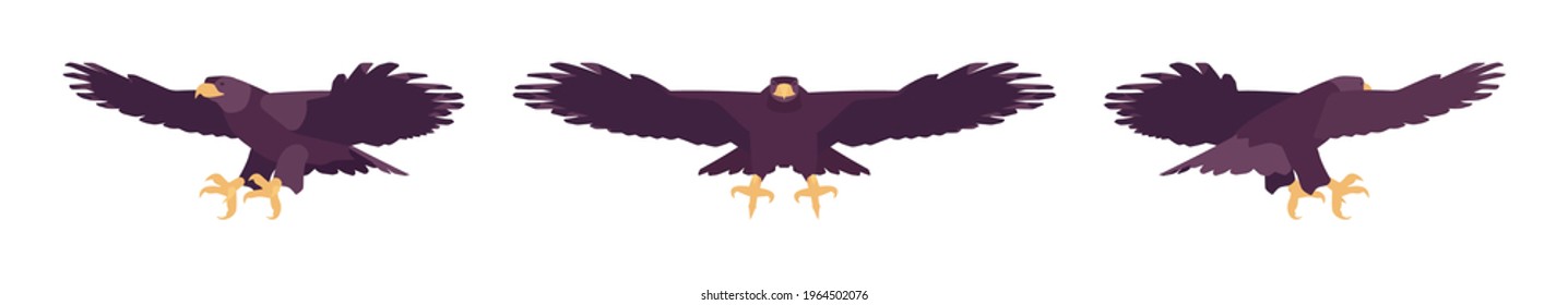 Black eagle set, large powerful bird, massive wings in flight. Wildlife study, ornithology and birdwatching concept. Vector flat style cartoon illustration isolated, white background, different views