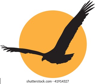 Black eagle silhouete over orange sun.