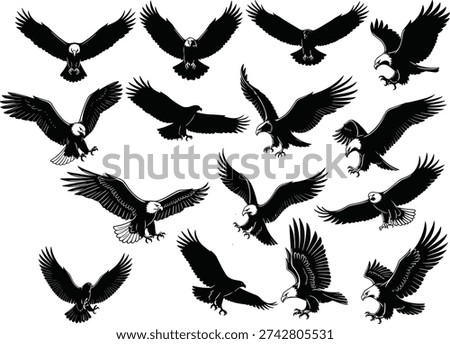 Black eagle silhouettes flying, landing, soaring, hunting, wings spread wide, talons extended, dynamic bird poses for design, illustration, decoration