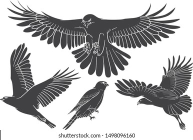 black eagles set on white background 