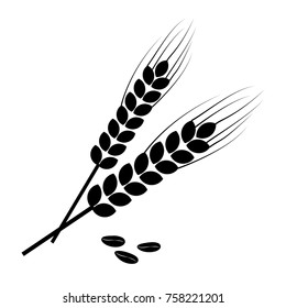 Black ears of wheat and wheat grains. Vector illustration