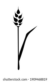 Schwarze Weizenähren. Vektorgrafik auf weißem, isoliertem Hintergrund.