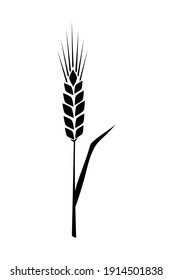 Black ears of wheat. Vector illustration on white isolated background.