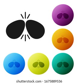 Black Easter eggs icon isolated on white background. Two eggs cracking each other. Happy Easter. Set icons in color circle buttons. Vector Illustration
