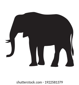 Black Elephant on white background vector illustration.