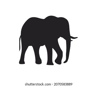 The black elephant silhouette stands