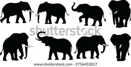 Black elephant silhouettes collection, African wildlife animals in various poses, safari mammal vector set isolated, realistic herd profiles for design, nature illustration