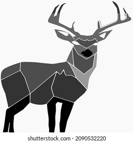 black eye white deer vector illustration