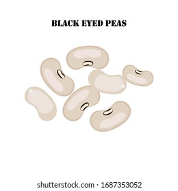 Black eyed peas illustration on the white background. Vector illustration