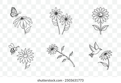 Black Eyed Susan Flower Line Art Vector Set Detailed Botanical Illustration Collection