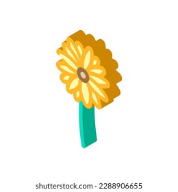 black eyed susan flower spring isometric icon vector. black eyed susan flower spring sign. isolated symbol illustration
