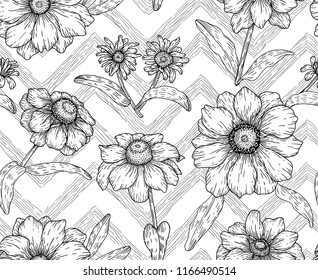 Black eyed susan flowers and leaves on a white background with zigzag. Monochrome floral vector seamless pattern.