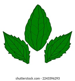 color de icono del vector de la hoja de suero de ojos negros
