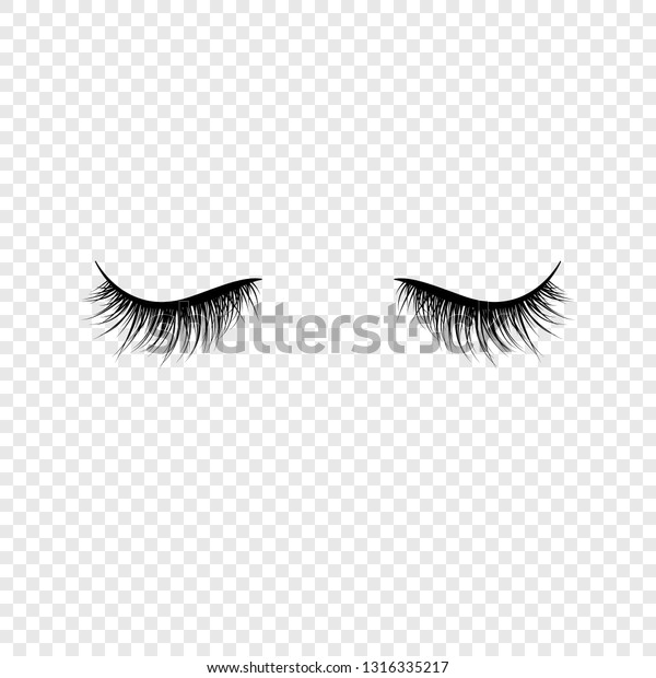 Black Eyelashes False Eyelashes Vector Illustration Stock Vector Royalty Free