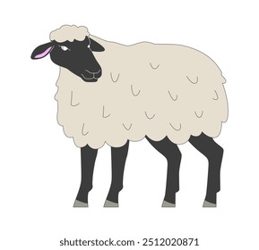 Black faced sheep standing 2D cartoon character. Expensive breed of farm animals cultivation. Livestock husbandry isolated animal flat vector on white background. Spot illustration colorful