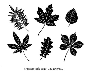 Black fall leaves silhouettes  Autumn leaves maple  oak  elm  chestnut  Japanese maple   rhus typhina  Vector illustration 