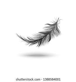 Black falling fluffy swirled feather vector illustration isolated on white background. 3d realistic object or icon of bird plume with clearly defined outline and shadows.